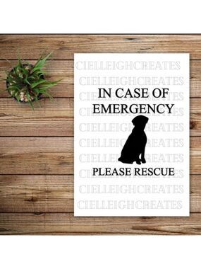 *2 for $20* In Case of Emergency Please Rescue Dog vinyl decal Handcrafted